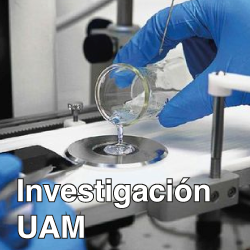 Investigación UAM