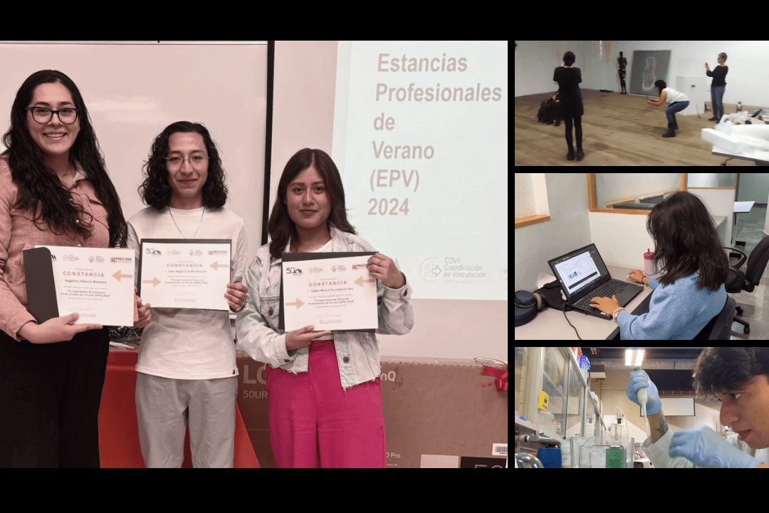 Prácticas Profesionales