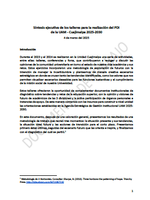 Sintesis Ejecutiva PDI