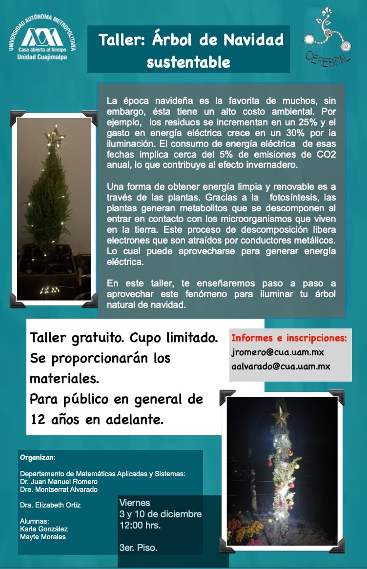 Taller árbol de navidad