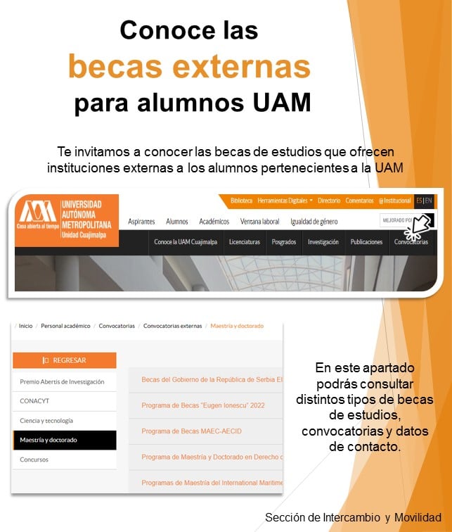 Becas Externas