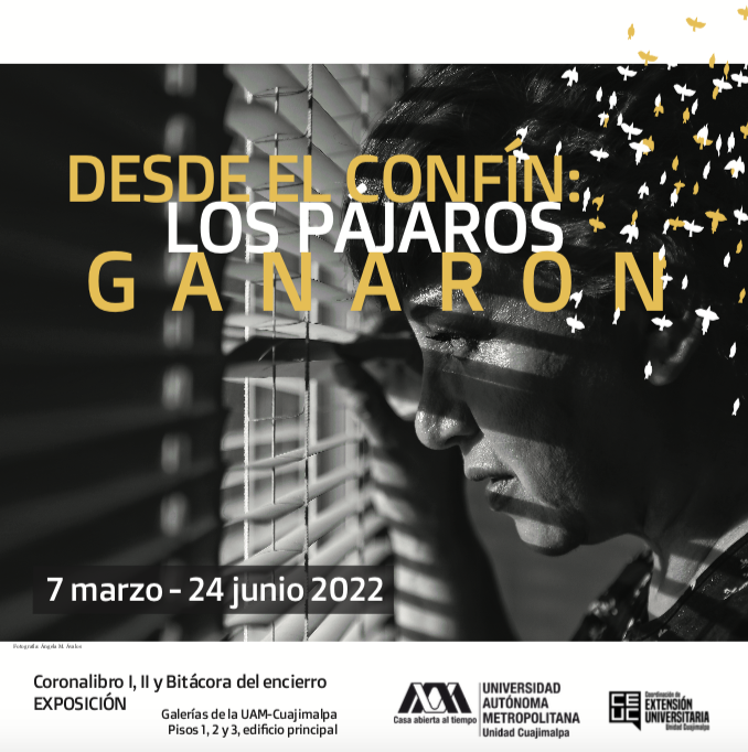 Los pajaron ganaron