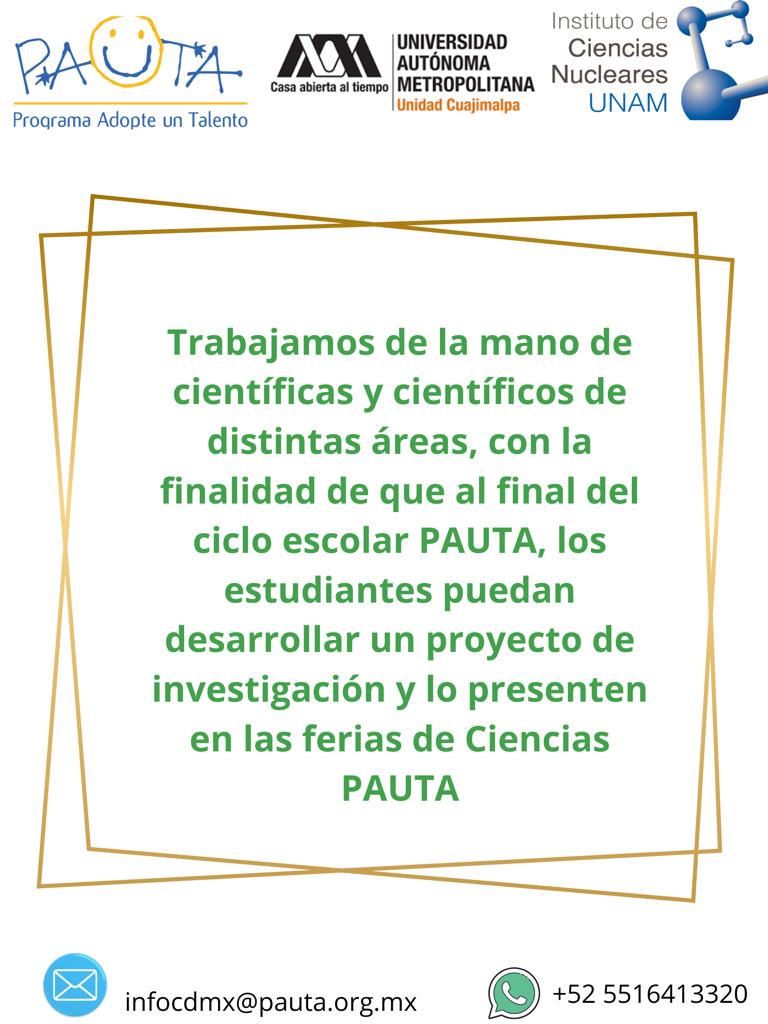 Pauta 2