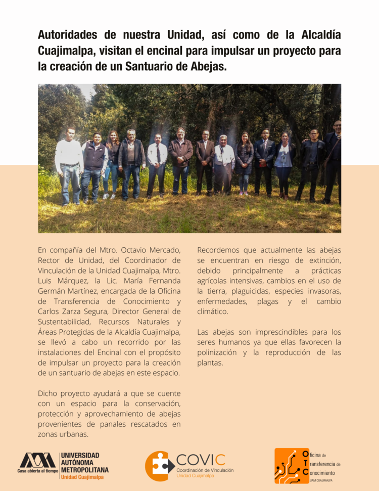 Proyecto Santuario de Abejas