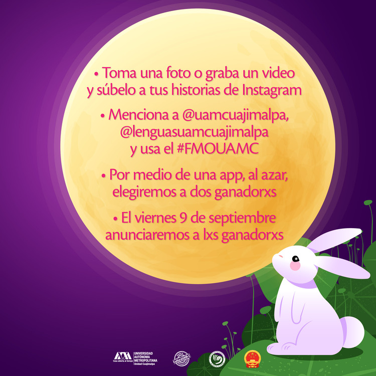 Concurso 2