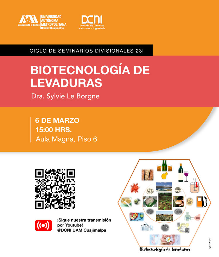 Cartel Seminario Divisional