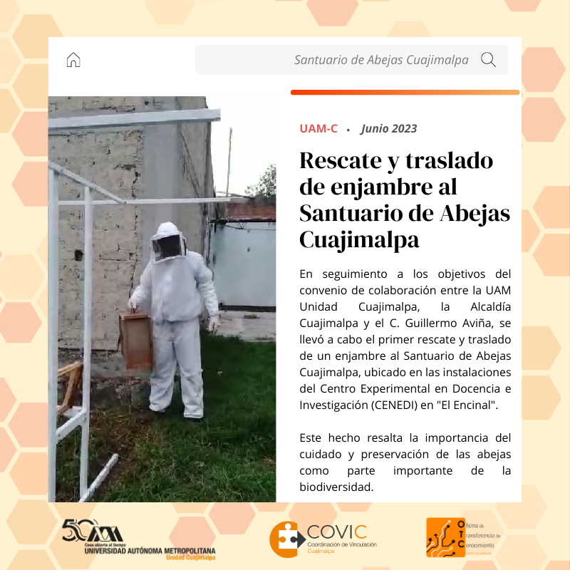 Imagen Santuario Abejas