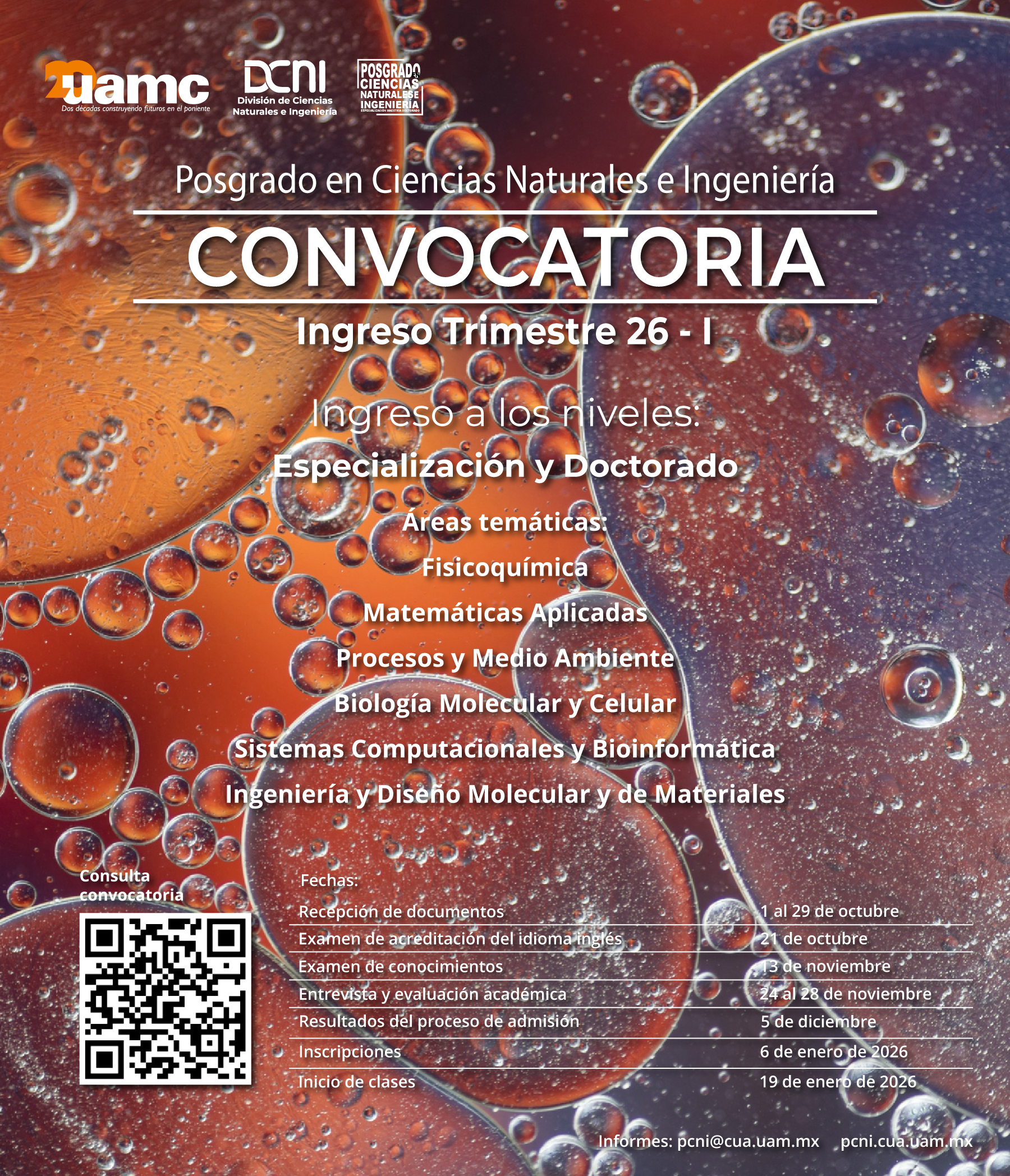 Convocatoria PCNI 26I