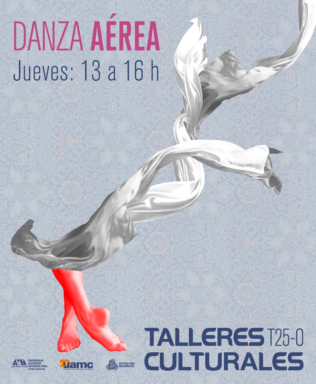 Taller de Danza Aérea